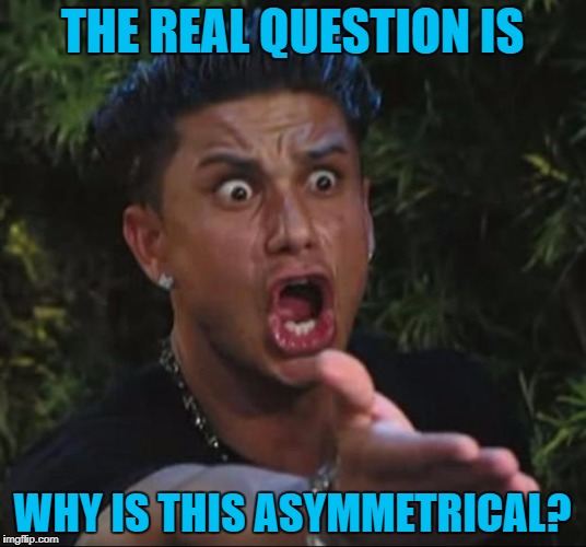DJ Pauly D Meme | THE REAL QUESTION IS; WHY IS THIS ASYMMETRICAL? | image tagged in memes,dj pauly d | made w/ Imgflip meme maker