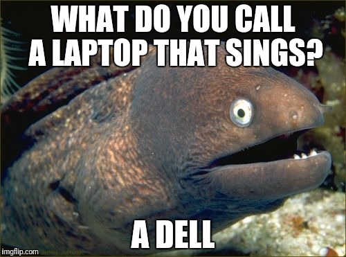 Bad Joke Eel Meme | WHAT DO YOU CALL A LAPTOP THAT SINGS? A DELL | image tagged in memes,bad joke eel | made w/ Imgflip meme maker