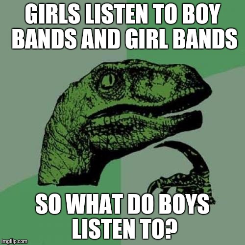 Philosoraptor Meme | GIRLS LISTEN TO BOY BANDS AND GIRL BANDS; SO WHAT DO BOYS LISTEN TO? | image tagged in memes,philosoraptor | made w/ Imgflip meme maker