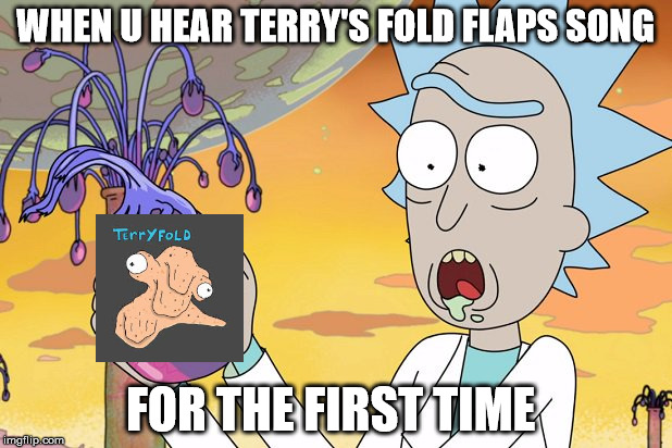 WHEN U HEAR TERRY'S FOLD FLAPS SONG; FOR THE FIRST TIME | image tagged in rick | made w/ Imgflip meme maker
