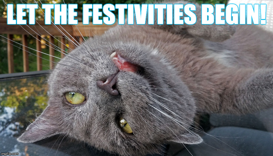 Faded Cat | LET THE FESTIVITIES BEGIN! | image tagged in faded cat | made w/ Imgflip meme maker