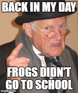 Back In My Day Meme | BACK IN MY DAY FROGS DIDN'T GO TO SCHOOL | image tagged in memes,back in my day | made w/ Imgflip meme maker