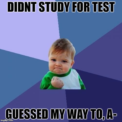 Success Kid | DIDNT STUDY FOR TEST; GUESSED MY WAY TO, A- | image tagged in memes,success kid | made w/ Imgflip meme maker