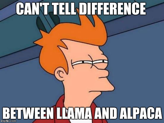 Futurama Fry | CAN'T TELL DIFFERENCE; BETWEEN LLAMA AND ALPACA | image tagged in memes,futurama fry | made w/ Imgflip meme maker