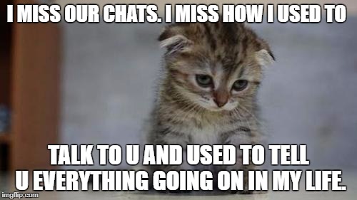 Sad kitten | I MISS OUR CHATS. I MISS HOW I USED TO; TALK TO U AND USED TO TELL U EVERYTHING GOING ON IN MY LIFE. | image tagged in sad kitten | made w/ Imgflip meme maker