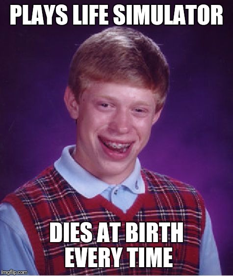 Bad Luck Brian Meme | PLAYS LIFE SIMULATOR; DIES AT BIRTH EVERY TIME | image tagged in memes,bad luck brian | made w/ Imgflip meme maker