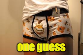 one guess | made w/ Imgflip meme maker