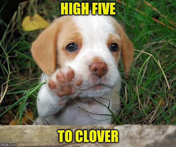 HIGH FIVE TO CLOVER | made w/ Imgflip meme maker