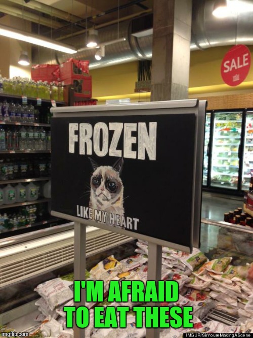  I'M AFRAID TO EAT THESE | image tagged in sir_unknown,dank memes,grumpy cat | made w/ Imgflip meme maker