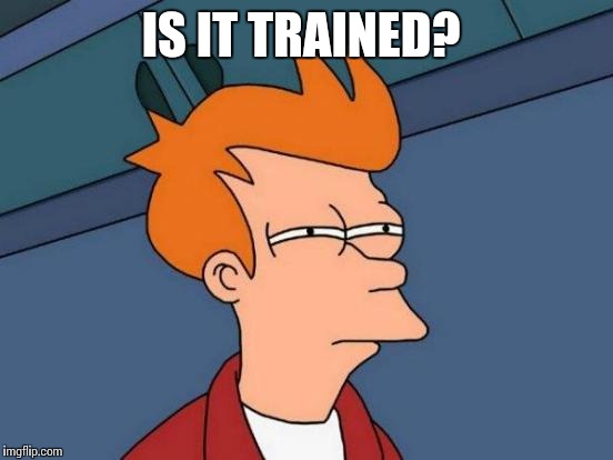 Futurama Fry | IS IT TRAINED? | image tagged in memes,futurama fry | made w/ Imgflip meme maker