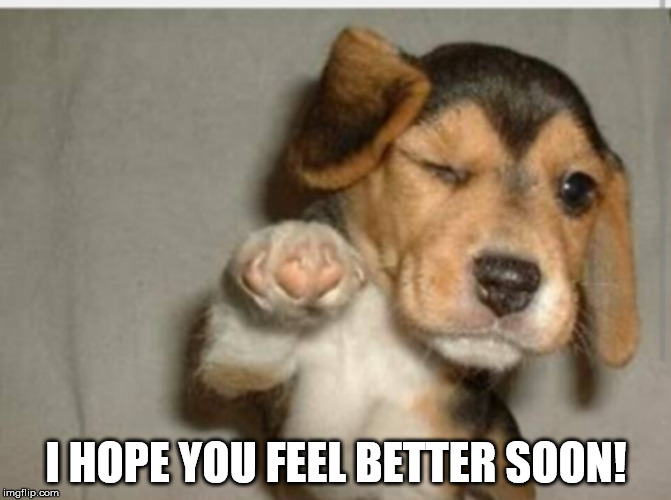 Feel better | I HOPE YOU FEEL BETTER SOON! | image tagged in feel better | made w/ Imgflip meme maker