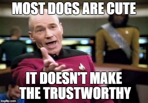 Picard Wtf Meme | MOST DOGS ARE CUTE IT DOESN'T MAKE THE TRUSTWORTHY | image tagged in memes,picard wtf | made w/ Imgflip meme maker