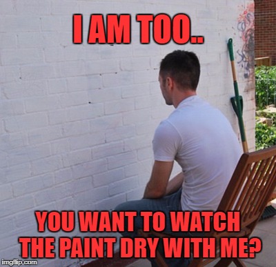 I AM TOO.. YOU WANT TO WATCH THE PAINT DRY WITH ME? | made w/ Imgflip meme maker