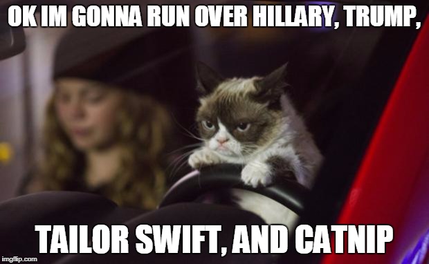 Grumpy Cat Driving | OK IM GONNA RUN OVER HILLARY, TRUMP, TAILOR SWIFT, AND CATNIP | image tagged in grumpy cat driving | made w/ Imgflip meme maker