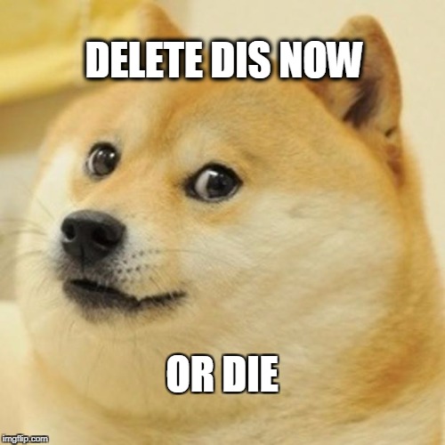 Doge Meme | DELETE DIS NOW; OR DIE | image tagged in memes,doge | made w/ Imgflip meme maker