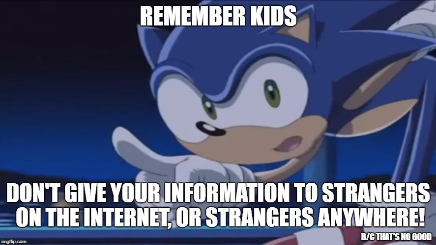 Kids, Don't - Sonic X | REMEMBER KIDS; DON'T GIVE YOUR INFORMATION TO STRANGERS ON THE INTERNET, OR STRANGERS ANYWHERE! B/C THAT'S NO GOOD | image tagged in don't sonic x,sonic says,sanic,internet safety,kids don't - sonic x | made w/ Imgflip meme maker