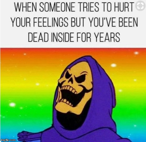 image tagged in too funny,too true,skeletor | made w/ Imgflip meme maker