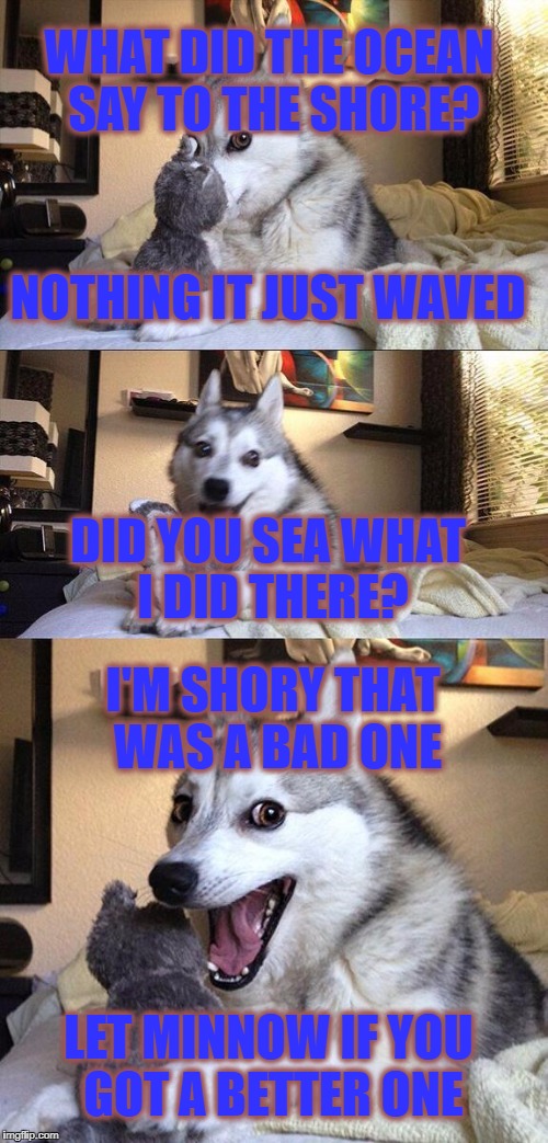 Bad Pun Dog Meme | WHAT DID THE OCEAN SAY TO THE SHORE? NOTHING IT JUST WAVED; DID YOU SEA WHAT I DID THERE? I'M SHORY THAT WAS A BAD ONE; LET MINNOW IF YOU GOT A BETTER ONE | image tagged in memes,bad pun dog | made w/ Imgflip meme maker