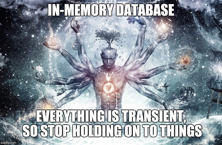 IN-MEMORY DATABASE; EVERYTHING IS TRANSIENT, SO STOP HOLDING ON TO THINGS | made w/ Imgflip meme maker