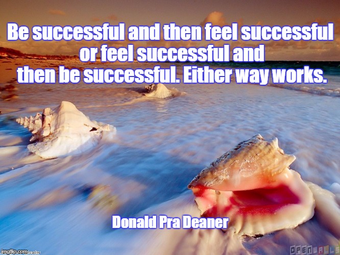 Ocean shells let go | Be successful and then feel successful or feel successful and then be successful. Either way works. Donald Pra Deaner | image tagged in ocean shells let go | made w/ Imgflip meme maker