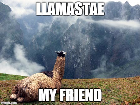 LLAMASTAE; MY FRIEND | image tagged in llamastae | made w/ Imgflip meme maker