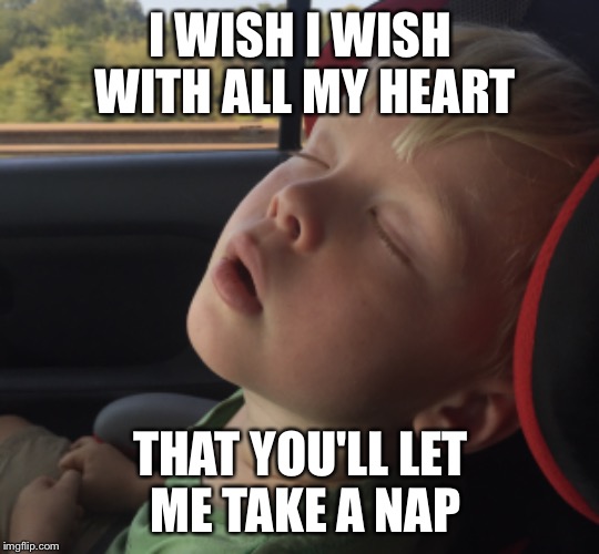 Take A Nap | I WISH I WISH WITH ALL MY HEART; THAT YOU'LL LET ME TAKE A NAP | image tagged in nap,dead,cohen | made w/ Imgflip meme maker
