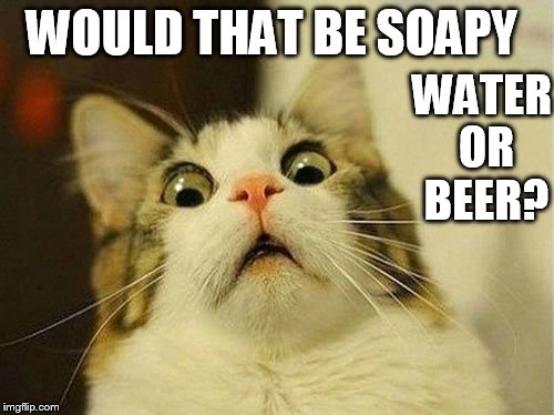WOULD THAT BE SOAPY WATER OR BEER? | made w/ Imgflip meme maker