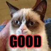 GOOD | made w/ Imgflip meme maker