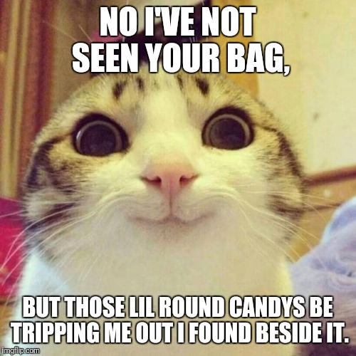 Smiling Cat | NO I'VE NOT SEEN YOUR BAG, BUT THOSE LIL ROUND CANDYS BE TRIPPING ME OUT I FOUND BESIDE IT. | image tagged in memes,smiling cat | made w/ Imgflip meme maker