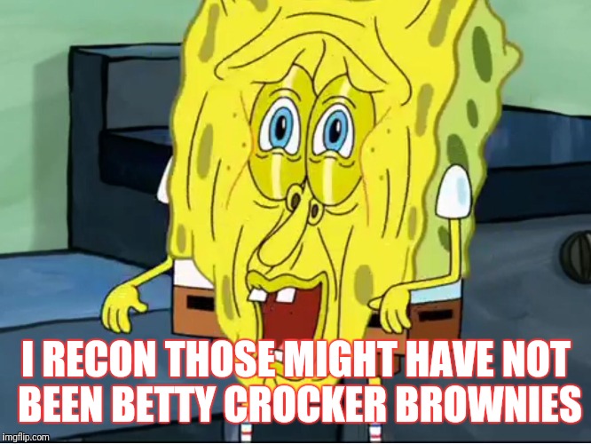 Melting sponge bob | I RECON THOSE MIGHT HAVE NOT BEEN BETTY CROCKER BROWNIES | image tagged in melting sponge bob | made w/ Imgflip meme maker