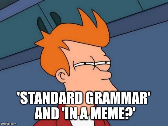 Futurama Fry Meme | 'STANDARD GRAMMAR' AND 'IN A MEME?' | image tagged in memes,futurama fry | made w/ Imgflip meme maker