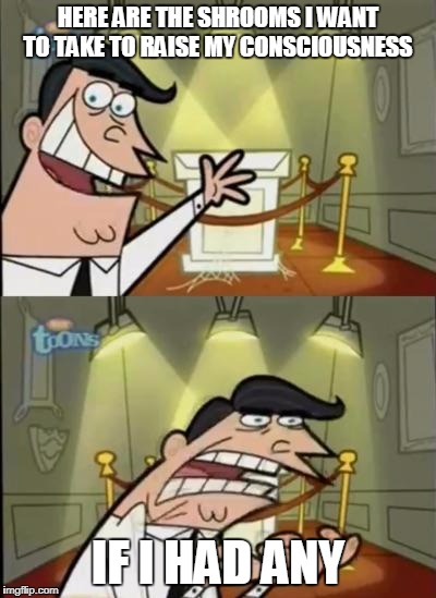 Fairly odd parents | HERE ARE THE SHROOMS I WANT TO TAKE TO RAISE MY CONSCIOUSNESS; IF I HAD ANY | image tagged in fairly odd parents | made w/ Imgflip meme maker