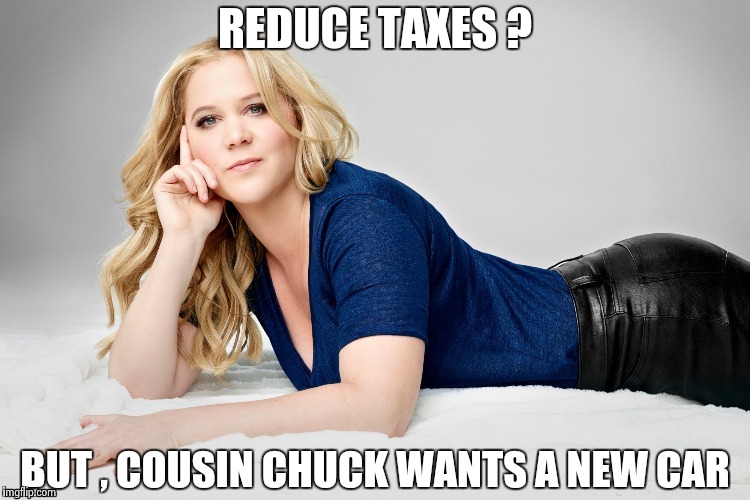 Amy Schumer | REDUCE TAXES ? BUT , COUSIN CHUCK WANTS A NEW CAR | image tagged in amy schumer | made w/ Imgflip meme maker