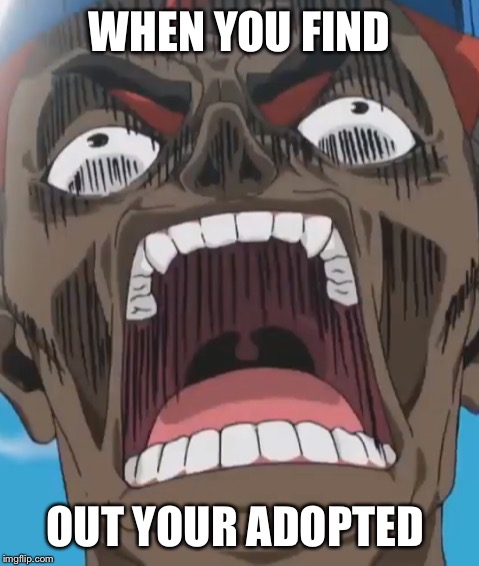 WHEN YOU FIND; OUT YOUR ADOPTED | image tagged in ultraarcher9000 | made w/ Imgflip meme maker