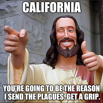 Buddy Christ | CALIFORNIA; YOU'RE GOING TO BE THE REASON I SEND THE PLAGUES. GET A GRIP. | image tagged in memes,buddy christ | made w/ Imgflip meme maker