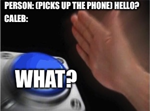 Blank Nut Button Meme | PERSON: (PICKS UP THE PHONE) HELLO? CALEB:; WHAT? | image tagged in blank nut button | made w/ Imgflip meme maker
