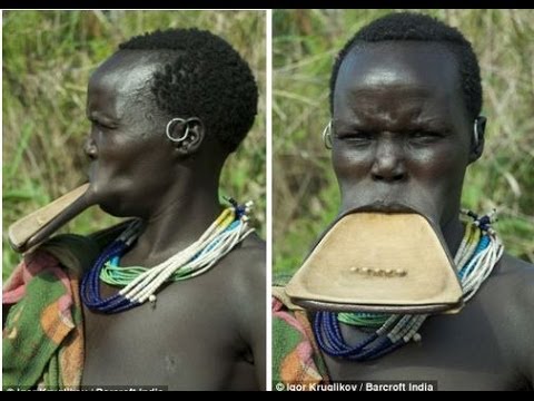 lip plate Blank Meme Template