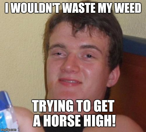 10 Guy Meme | I WOULDN'T WASTE MY WEED TRYING TO GET A HORSE HIGH! | image tagged in memes,10 guy | made w/ Imgflip meme maker