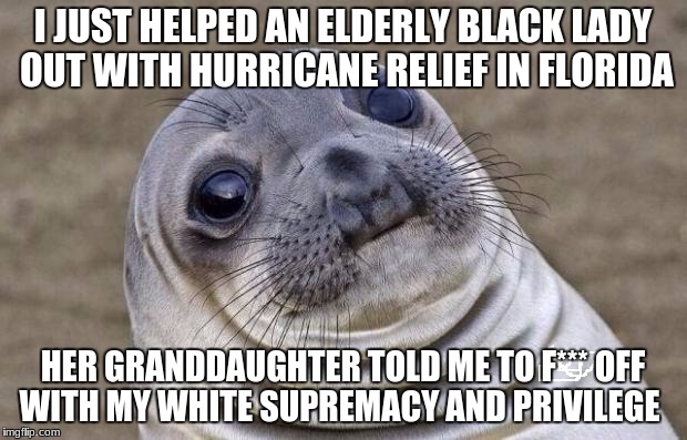 kids these days.  | I JUST HELPED AN ELDERLY BLACK LADY OUT WITH HURRICANE RELIEF IN FLORIDA; HER GRANDDAUGHTER TOLD ME TO F*** OFF WITH MY WHITE SUPREMACY AND PRIVILEGE | image tagged in memes,awkward moment sealion,dank memes,funny,deth_by_dodo | made w/ Imgflip meme maker