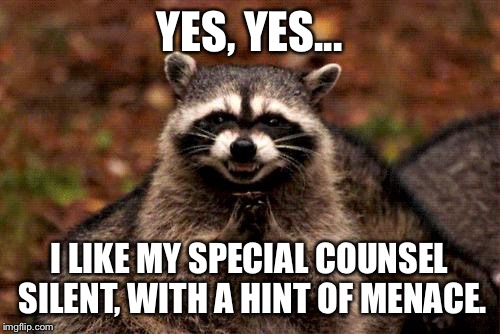 Evil Plotting Raccoon Meme | YES, YES... I LIKE MY SPECIAL COUNSEL SILENT, WITH A HINT OF MENACE. | image tagged in memes,evil plotting raccoon | made w/ Imgflip meme maker