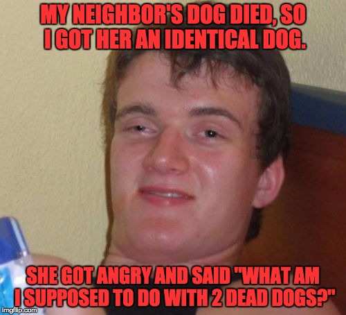 10 Guy Meme | MY NEIGHBOR'S DOG DIED, SO I GOT HER AN IDENTICAL DOG. SHE GOT ANGRY AND SAID "WHAT AM I SUPPOSED TO DO WITH 2 DEAD DOGS?" | image tagged in memes,10 guy | made w/ Imgflip meme maker