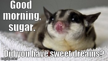 Good morning, sugar. Did you have sweet dreams? | image tagged in sugar rush | made w/ Imgflip meme maker