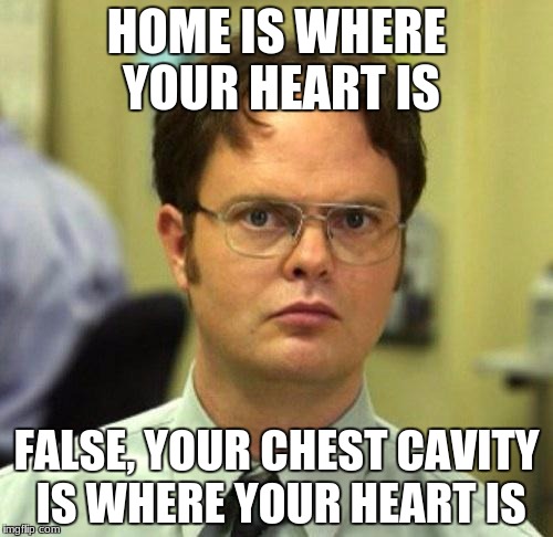 What about your soul? | HOME IS WHERE YOUR HEART IS; FALSE, YOUR CHEST CAVITY IS WHERE YOUR HEART IS | image tagged in false,memes,dank memes,funny,deth_by_dodo,body parts | made w/ Imgflip meme maker