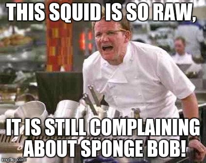 Cook it longer! | THIS SQUID IS SO RAW, IT IS STILL COMPLAINING ABOUT SPONGE BOB! | image tagged in angry chef,memes,funny,dank memes,deth_by_dodo,spongebob | made w/ Imgflip meme maker