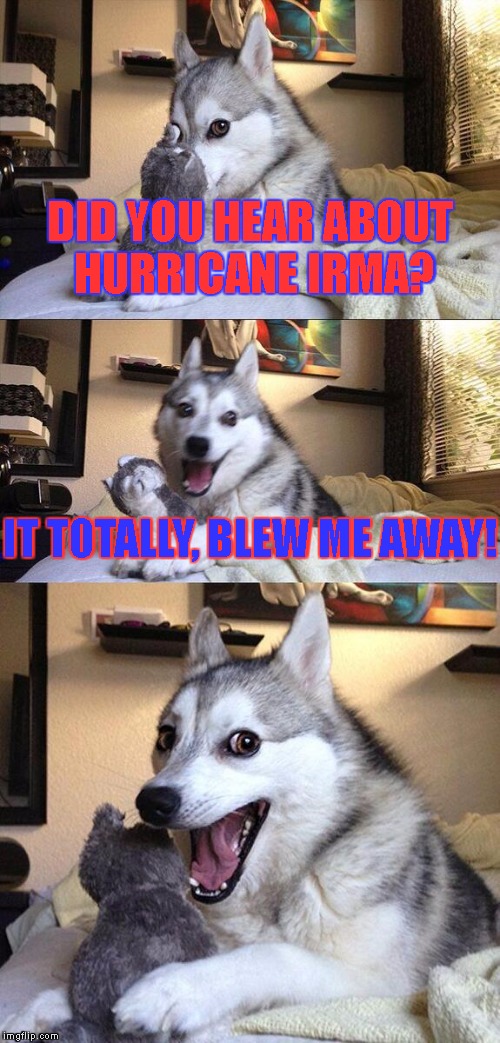 too soon... | DID YOU HEAR ABOUT HURRICANE IRMA? IT TOTALLY, BLEW ME AWAY! | image tagged in memes,bad pun dog,hurricane irma,hurricane,too soon | made w/ Imgflip meme maker