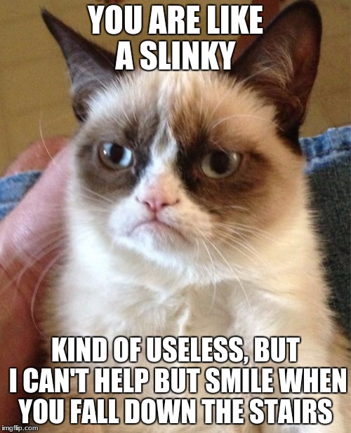 and i will be the one to push you | YOU ARE LIKE A SLINKY; KIND OF USELESS, BUT I CAN'T HELP BUT SMILE WHEN YOU FALL DOWN THE STAIRS | image tagged in memes,grumpy cat,dank memes,deth_by_dodo,funny | made w/ Imgflip meme maker
