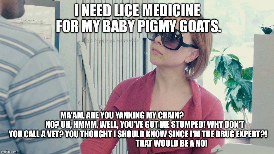 Frustrated customer | I NEED LICE MEDICINE FOR MY BABY PIGMY GOATS. MA'AM, ARE YOU YANKING MY CHAIN?                             
NO? UH, HMMM, WELL, YOU'VE GOT ME STUMPED! WHY DON'T YOU CALL A VET? YOU THOUGHT I SHOULD KNOW SINCE I'M THE DRUG EXPERT?!                                             THAT WOULD BE A NO! | image tagged in vials | made w/ Imgflip meme maker