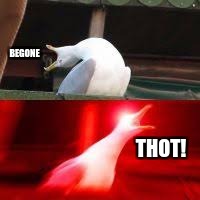 BEGONE; THOT! | image tagged in blank inhaling seagull | made w/ Imgflip meme maker