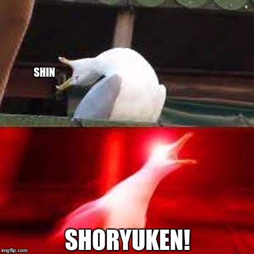 SHIN; SHORYUKEN! | image tagged in large blank inhaling seagull | made w/ Imgflip meme maker