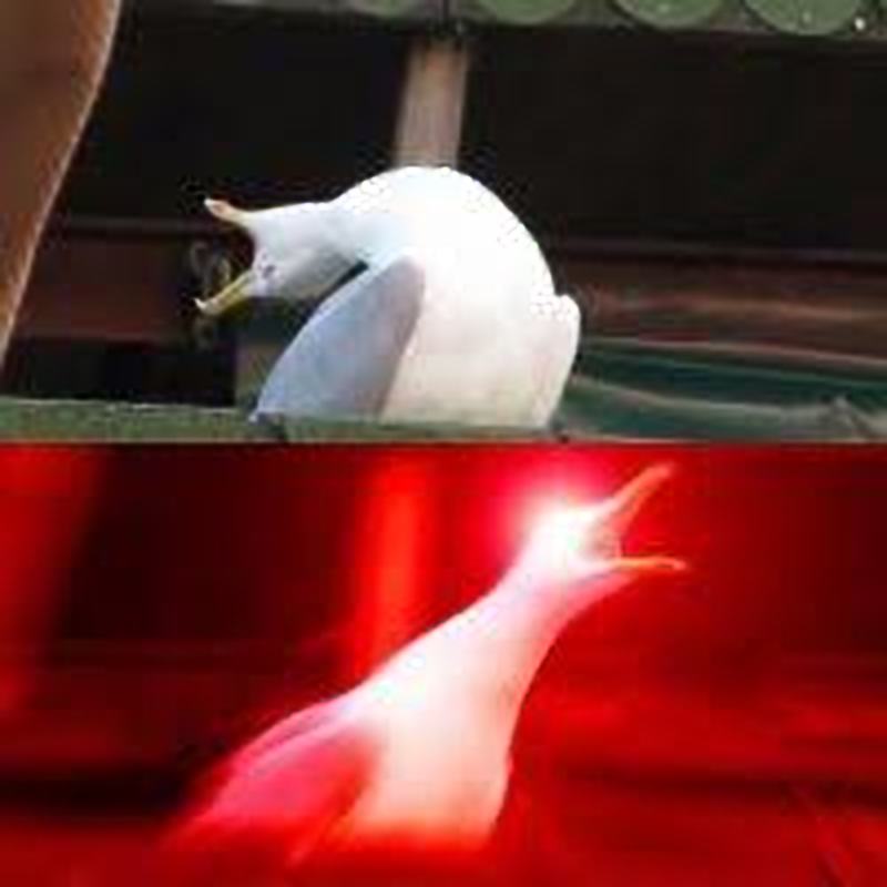 Large Inhaling Seagull Blank Meme Template